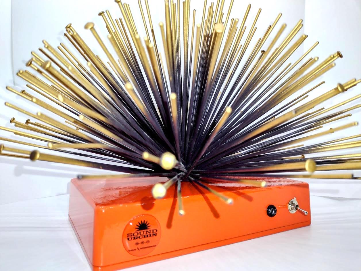 Super Sound Urchin is a musical instrument with spines like a sea urchin that is played lie a kalimba