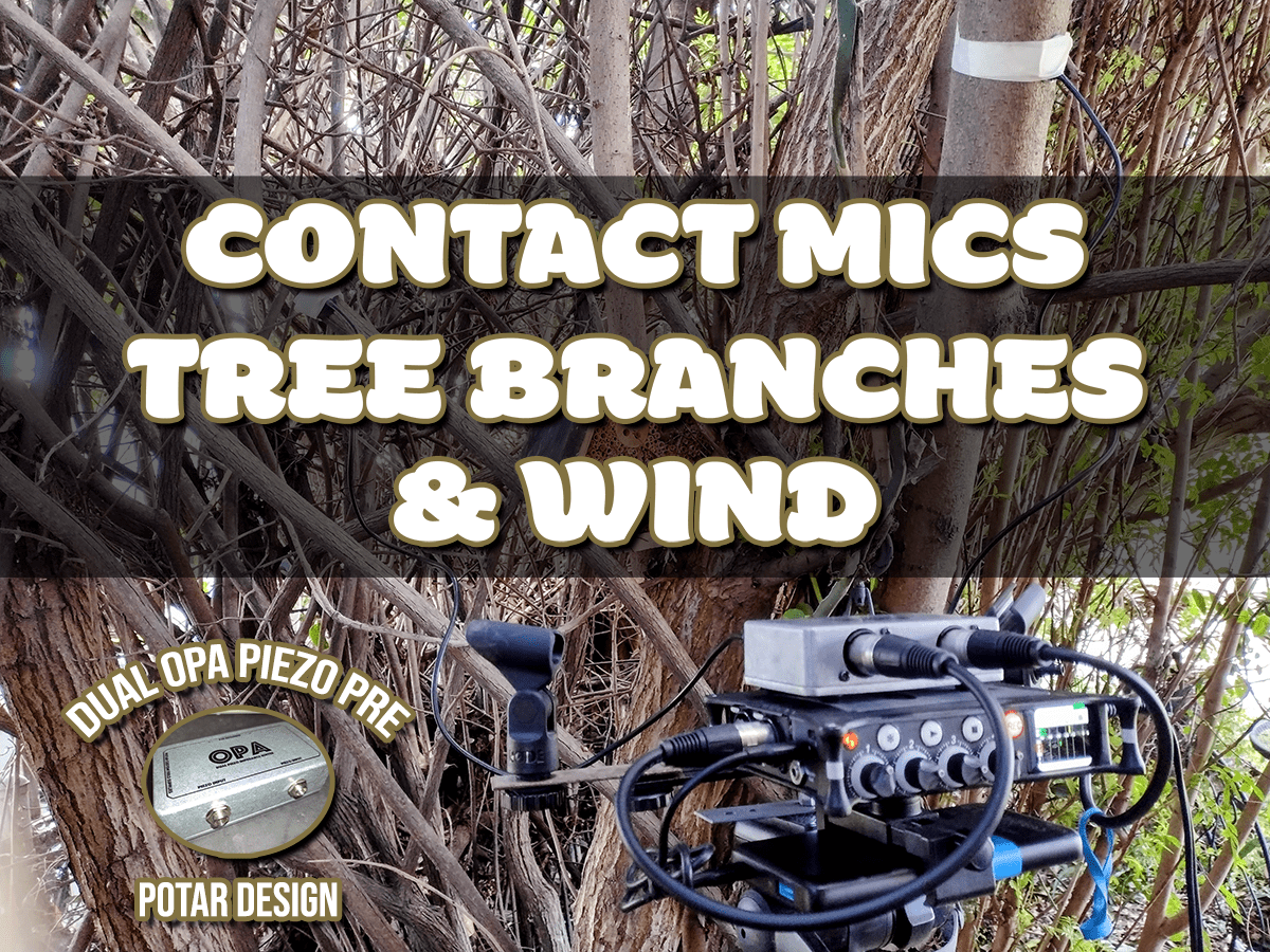 contact mics attached to trees