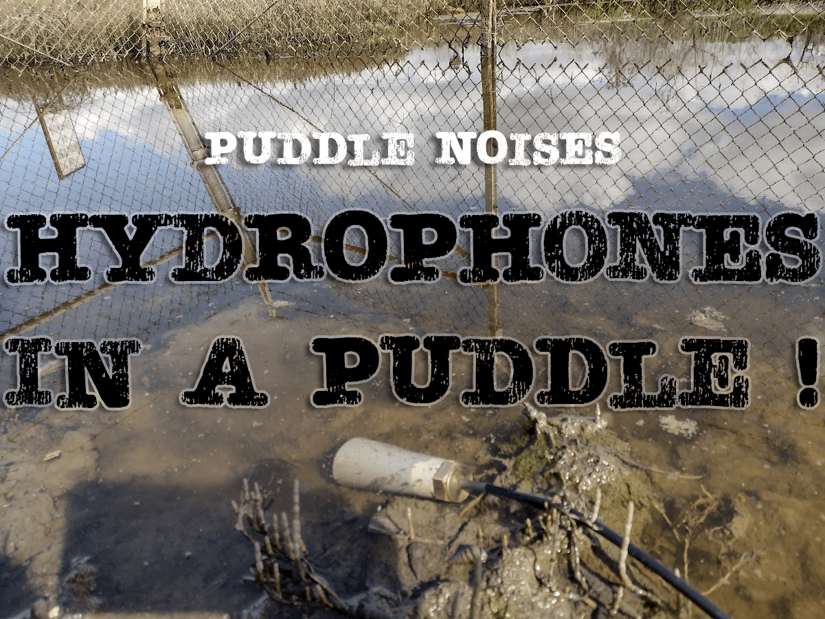 hydrophones in a puddle